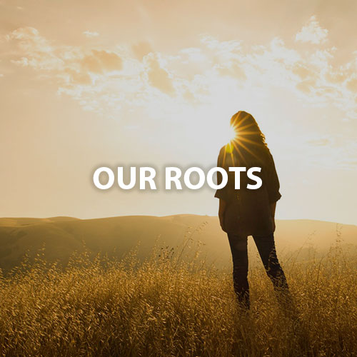 Our Roots - woman standing in a field