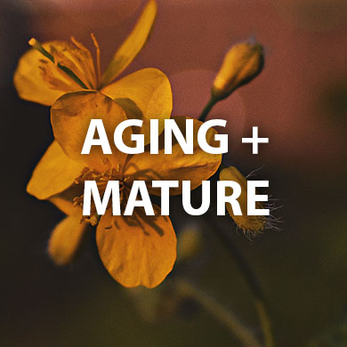 Aging + Mature Skin care