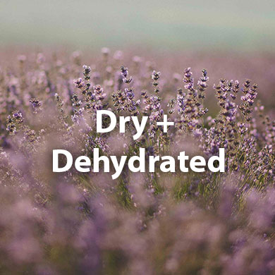 Dry + Dehydrated Skin Care