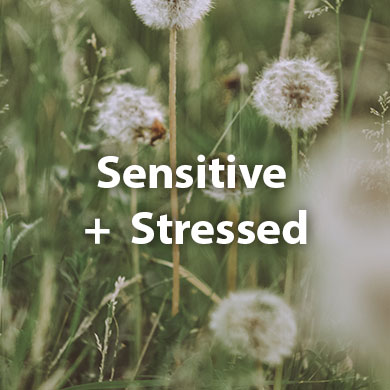Sensitive + Stressed skin care
